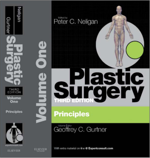 Plastic Surgery: Volume 1: Principles  3e