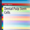 Ebook Dental Pulp Stem Cells (SpringerBriefs in Stem Cells) 2013th Edition