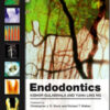 Ebook Endodontics, 4e 4th Edition