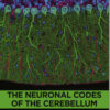 The Neuronal Codes of the Cerebellum 1st Edition