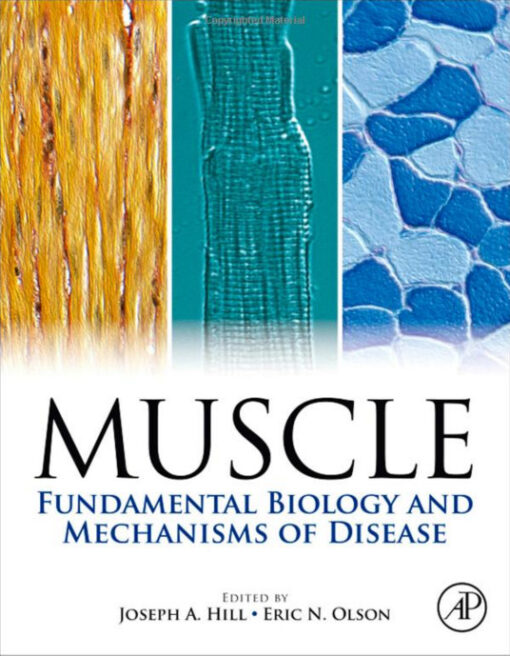 Muscle 2-Volume Set: Fundamental Biology and Mechanisms of Disease 1st Edition