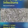 Vulvovaginal Infections, Second Edition 2nd Edition