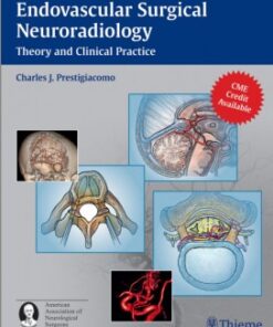 Endovascular Surgical Neuroradiology: Theory and Clinical Practice 1st edition