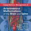 Comprehensive Management of Arteriovenous Malformations of the Brain and Spine