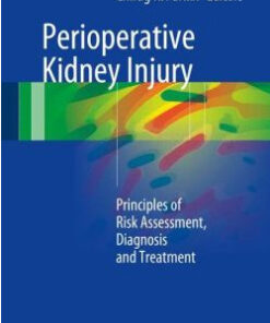 Perioperative Kidney Injury: Principles of Risk Assessment, Diagnosis and Treatment