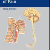 Surgical Management of Pain