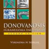 Donovanosis (Granuloma Inguinale)