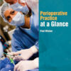 Perioperative Practice at a Glance (At a Glance (Nursing and Healthcare)) 1st Edition