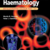 Haematology: An Illustrated Colour Text