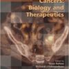 Gynaecological Cancers: Biology and Therapeutics  1st Edition