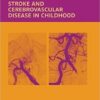 Stroke and Cerebrovascular Disease in Childhood 1st Edition