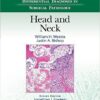 Differential Diagnoses in Surgical Pathology: Head and Neck First Edition