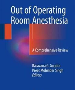 Out of Operating Room Anesthesia 2017 : A Comprehensive Review