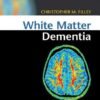 White Matter Dementia 1st Edition PDF