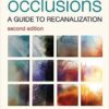 Chronic Total Occlusions: A Guide to Recanalization 2nd Edition