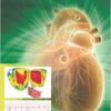 Manual of Electrophysiology