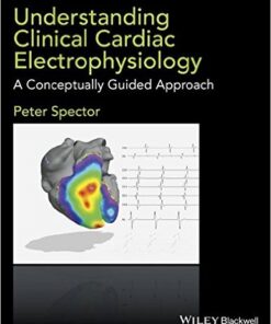 Understanding Cardiac Electrophysiology : A Conceptually Guided Approach