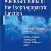 Adenocarcinoma of the Esophagogastric Junction 2016 : From Barrett's Esophagus to Cancer