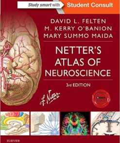 Netter's Atlas of Neuroscience, 3e (Netter Basic Science) 3rd Edition PDF