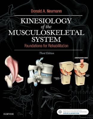 Kinesiology of the Musculoskeletal System: Foundations for Rehabilitation, 3e 3rd Edition PDF