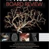 The NeuroICU Board Review 1st Edition Orginal PDF