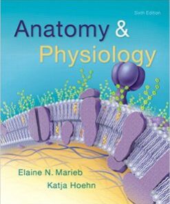 Anatomy & Physiology 6th Edition PDF