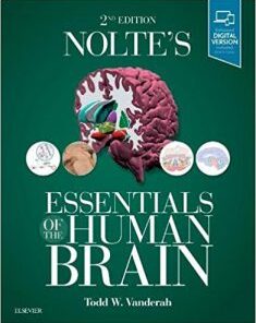 Nolte’s Essentials of the Human Brain, 2nd edition PDF