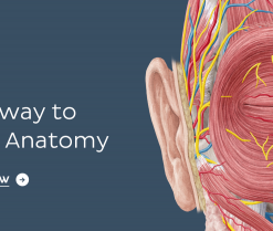 KenHub Anatomy and Histology 2018 (Videos)