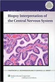 Biopsy Interpretation of the Central Nervous System (Biopsy Interpretation Series)