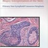 Biopsy Interpretation of the Skin: Primary Non-Lymphoid Neoplasms of the Skin