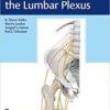 Surgical Anatomy of the Lumbar Plexus PDF