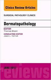 Dermatopathology, An Issue of Surgical Pathology Clinics, 1e (The Clinics: Internal Medicine)