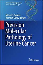 Precision Molecular Pathology of Uterine Cancer (Molecular Pathology Library) 1st