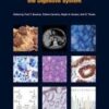 WHO Classification of Tumours of the Digestive System (IARC WHO Classification of Tumours) 4th Edition