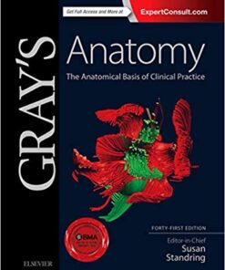 Gray's Anatomy: The Anatomical Basis of Clinical Practice