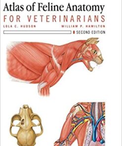 Atlas of Feline Anatomy For Veterinarians 2nd Edition