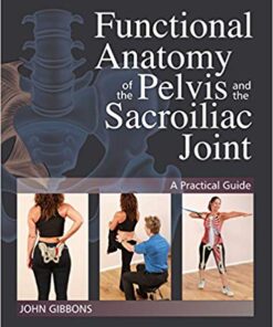 Functional Anatomy of the Pelvis and the Sacroiliac Joint: A Practical Guide