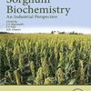 Sorghum Biochemistry: An Industrial Perspective 1st Edition