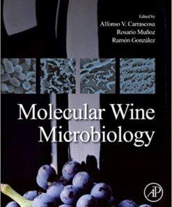 Molecular Wine Microbiology 1st Edition