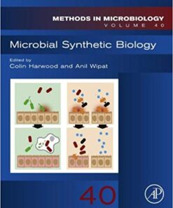 Microbial Synthetic Biology (Methods in Microbiology Book 40) 1st Edition