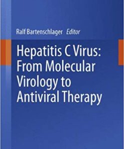 Hepatitis C Virus: From Molecular Virology to Antiviral Therapy (Current Topics in Microbiology and Immunology) 2013th Edition