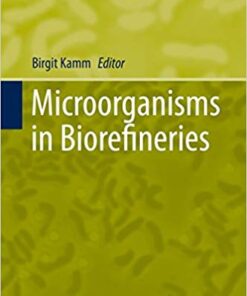 Microorganisms in Biorefineries (Microbiology Monographs Book 26)