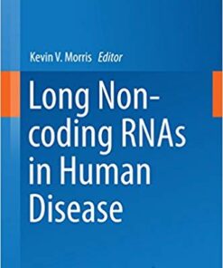 Long Non-coding RNAs in Human Disease (Current Topics in Microbiology and Immunology Book 394) 1st ed. 2016 Edition