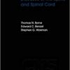 Diseases of the Spine and Spinal Cord (Contemporary Neurology Series) by Thomas N. Byrne (2000-01-13) PDF