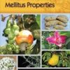 Plants with Anti-Diabetes Mellitus Properties