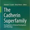 The Cadherin Superfamily: Key Regulators of Animal Development and Physiology