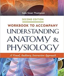 Workbook to Accompany Understanding Anatomy & Physiology: A Visual, Auditory, Interactive Approach 2nd Edition