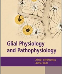 Glial Physiology and Pathophysiology