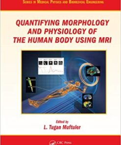 Quantifying Morphology and Physiology of the Human Body Using MRI