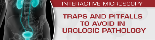 Traps And Pitfalls To Avoid In Urologic Pathology 2019